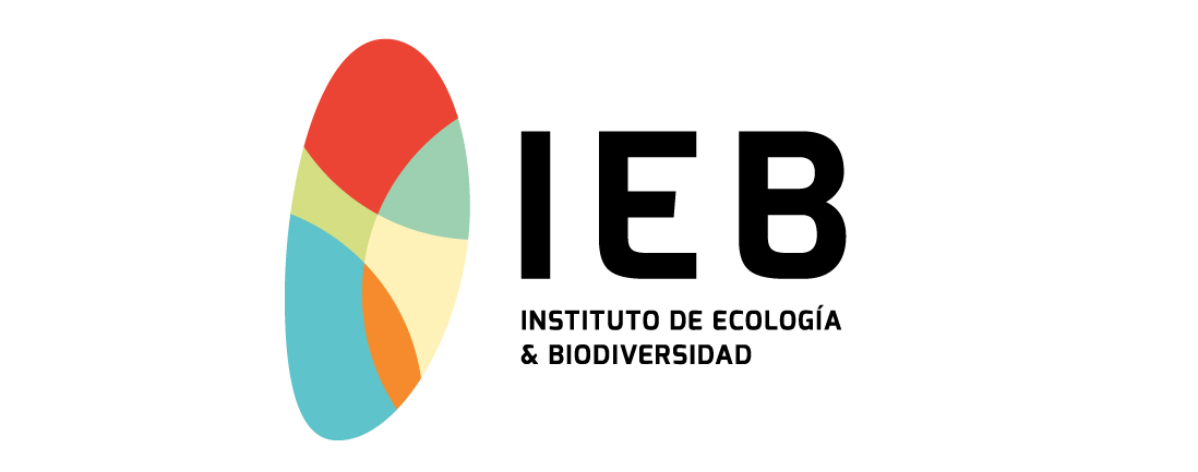 IEB-LOGO-2018-01