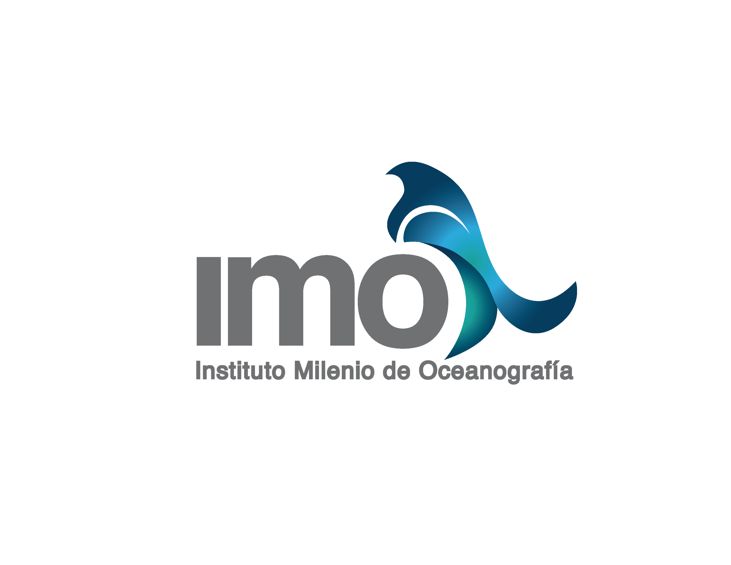 logo-IMO-texto-gris-grande-01