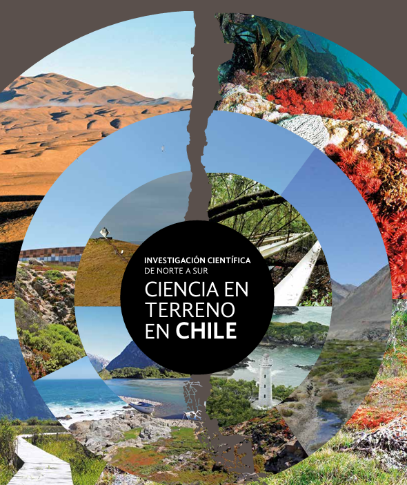 Captura-de-pantalla-2025-03-28-153300