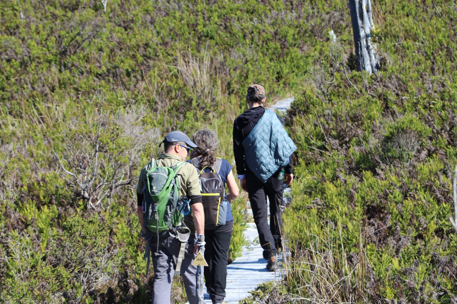 Excursionistas disfrutando de un sendero rodeado de vegetación.